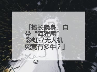 擅长隐身、自带“海狸尾” 彩虹-7无人机究竟有多牛？